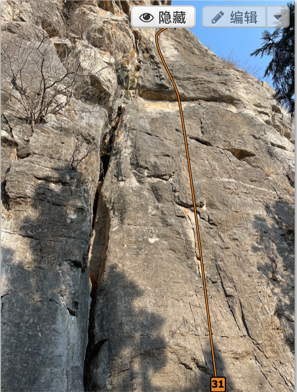 Description of the image