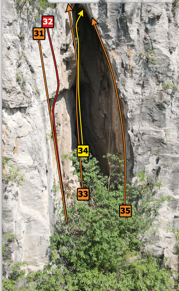 Description of the image