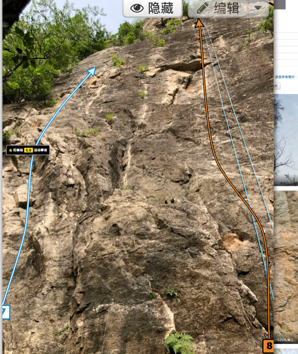 Description of the image